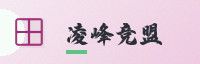 合作伙伴